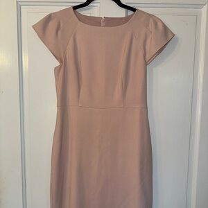 Ann Taylor Blush Midi Dress